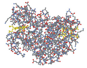 ����������