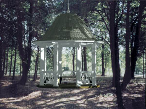 ����������� ������� � �������� (����� ������� ������� �������).