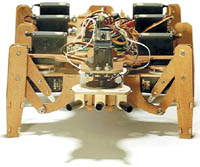 RoboBug