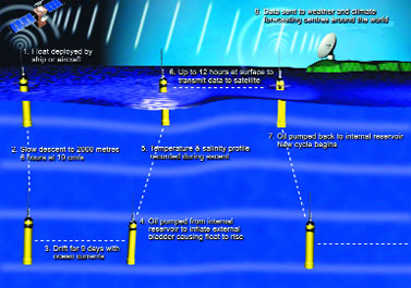 ����� ������ ����� Argo.