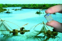 ���� ���� � ���� ����. ����� ����� ��������� Cell