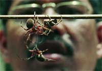 �������� ���-������� ���� � ������, ����� ��������� ����� ����������