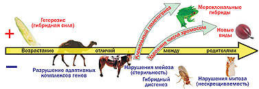 ���.1 ��������� �������, ���������� ������������� 