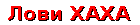 ���� ����