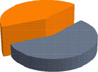 ������� ������ ���������� 43% �� ������ ����� ������������� ����.